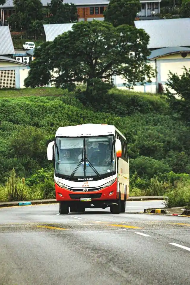 Bus driving on a curved road through a green landscape