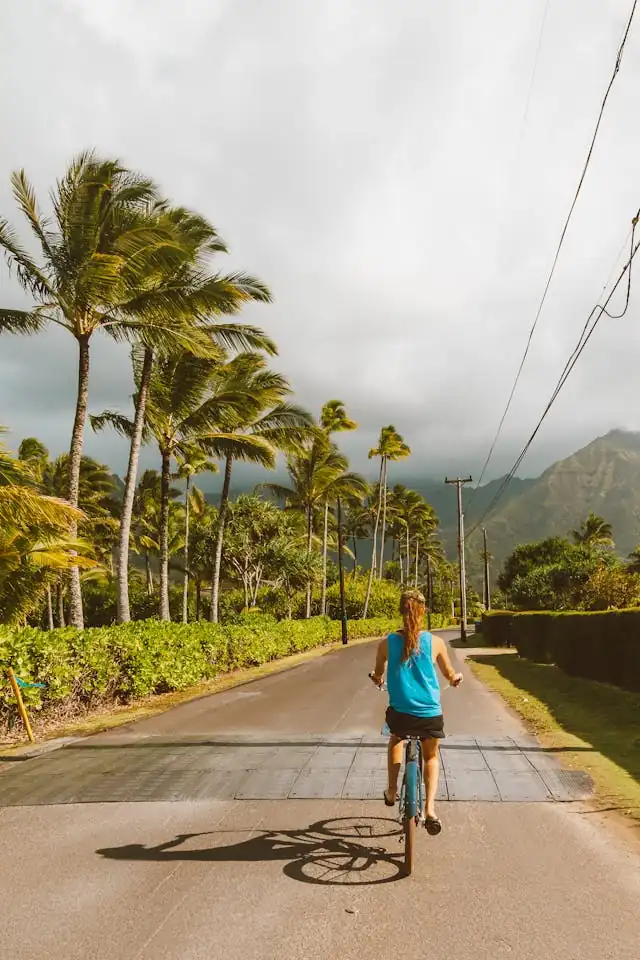 Cyclist riding on a road lined with palm trees in Honolulu, Hawaiʻi