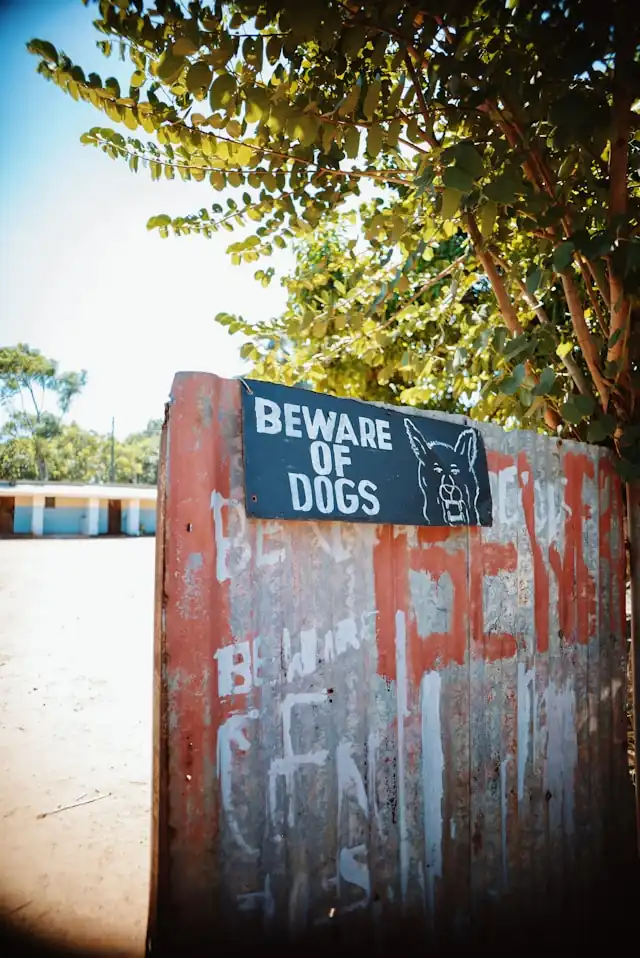 Beware of dogs sign on a wall with graffiti