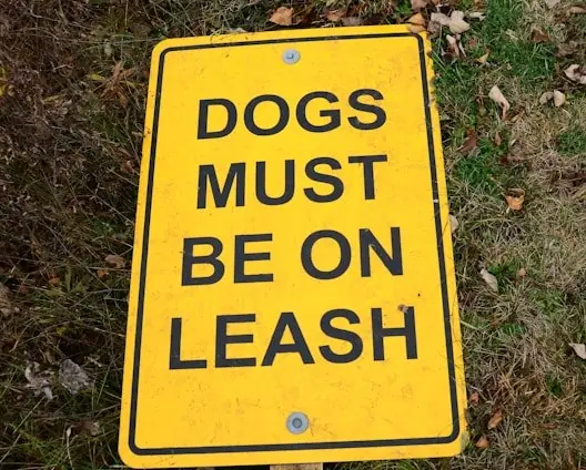 Dogs must be on leash sign indicating leash law requirement in a public area